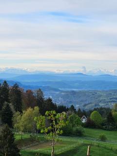 Lueginsland - Schopfheim - 1