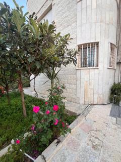 Salem Ayyash House - Ajloun - 7