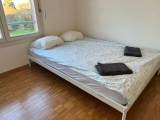 Huge Apartments, multiple Bedrooms with Balcony in Luzern Center - Luzern - 9