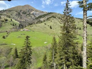 Mirsads Mountain Cottage - Plav - 3