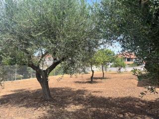 Casa Plati 1 - - 1