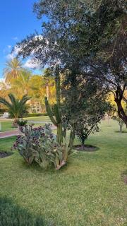 Villa azal garden - Oulad Akkou - 6