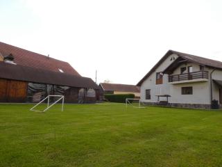 Casa Dragusana - Drăguş - 3