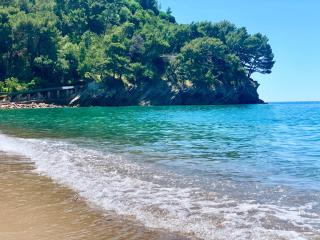 Gold Apartment Petrovac - 3