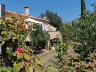 Les chênes du lac - Saint-Saturnin-lès-Apt - 7