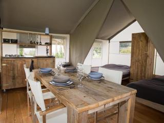 Safari tent in the middle of the Fryske Walden - Twijzel - 9
