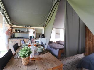 Safari tent in the middle of the Fryske Walden - Twijzel - 6