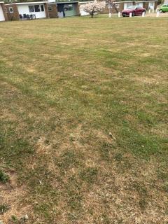 Florida site 116 - Hemsby - 7