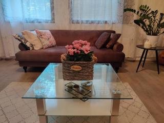 Entire cozy detached house near Kuopio center - Kuopio - 5