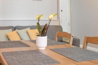 Lovely Haymarket Apartment - Central Edinburgh - Edinburgh - 7
