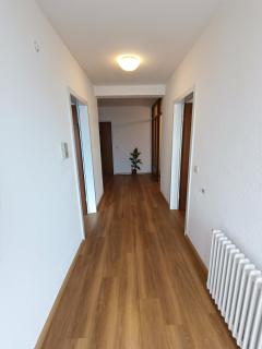 Freddy - Lörrach - 6