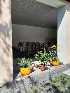 Qax Ağçayda EVLƏR - Qax - 3