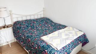Bright 1 bedroom guest house - Norwood - 3