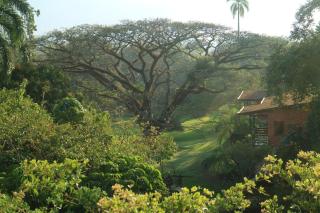 Luxury Apartment close to centre of Jarabacoa - 5