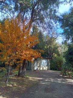 La casita del bosque - Bariloche - 9