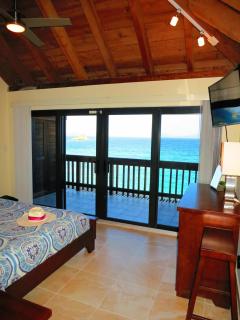 2BR Luxury Beachfront Duplex Villa on Sapphire Beach III - - 1