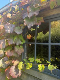 Elm Cottage Barn - Oatlands - 9