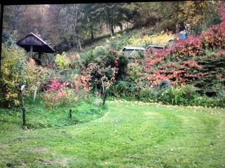Quiet Getaway Near Tarnow - - 8