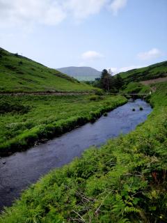 Ardrinane House - Annascaul - 5