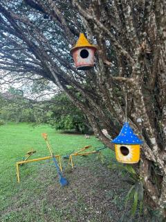 Casa no campo - Bom Jardim - 8