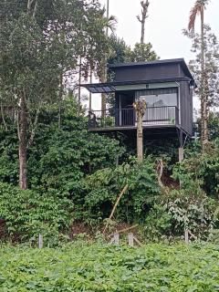 The Tree House - Vythiri - 8