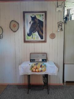 Casa de Campo Fazenda Invernada Grande - 2