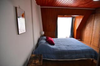 Dpto central y remodelado - Valdivia - 9
