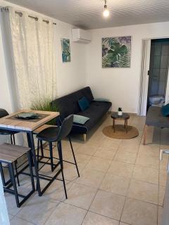 La Suite Odile Piscine - Le Lamentin - 5