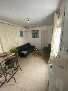 La Suite Odile Piscine - Le Lamentin - 6