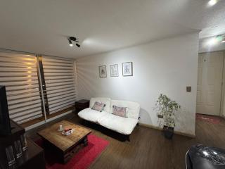 STAYOK CURICO 401 RAUQUEn - Curicó - 7