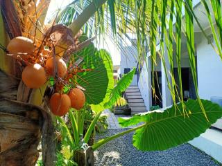 Guesthouse Gelombang - 9