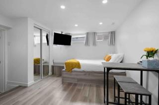 Modern Niagara studio - 0