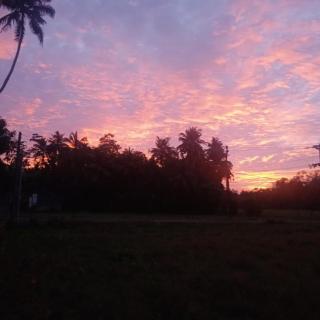 Paddy Shine Villa - Ahangama - 9