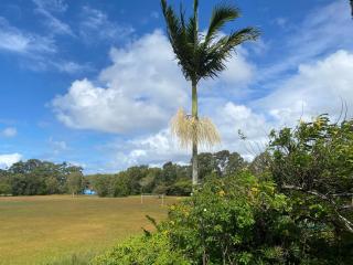 The Kozy Kave Maroochydore - Maroochydore - 1