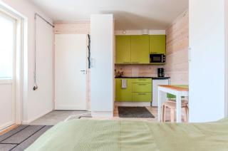 Yksiö Turun Hirvensalossa - 8