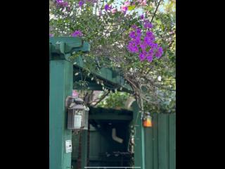 The Artist's Cottage - West Palm Beach - 5