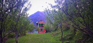 MJ cafe and homestay - 2