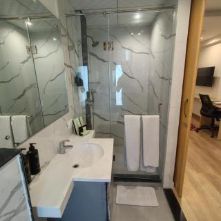 Grand Anukampa Hotel Jaipur - 3