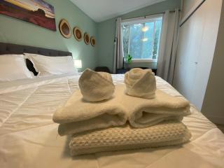 Hudson Homes BnB - Victoria - 9