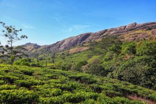 Rim Rock - Vagamon - 8