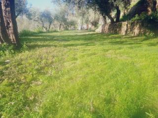Alojamiento Rural Al Andalus - Órgiva - 2