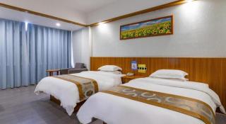 GreenTree Alliance Hotel Cenxi Guangnan Road - Cenxi - 4