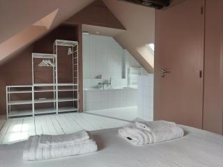 Grande maison de caractère, 3 ch, 2 salons, 2 salles de bains, une cour ! - Amboise - 2