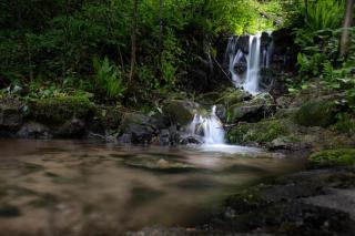 Old mill - 8