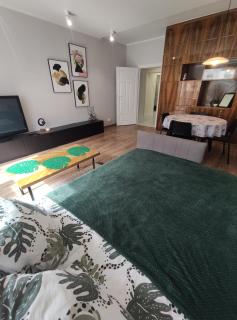 Apartament Lawendowy Balkon Łódź - Łódź - 5