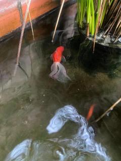 Valleycenter guest lodge - 5