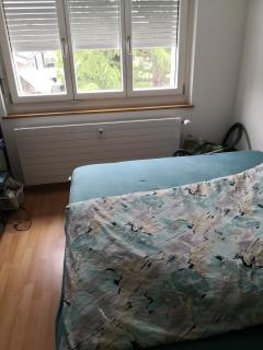 Ruhige Wohnung zum Wohlfühlen Song Contest Room Basel - 2