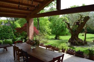 A casa di Jolanda - Mestre - 0