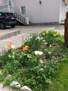 Drago Kremenjaš - 1