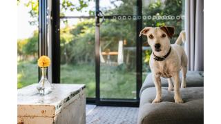 Bedervale Tiny by Tiny Away - Braidwood - 7